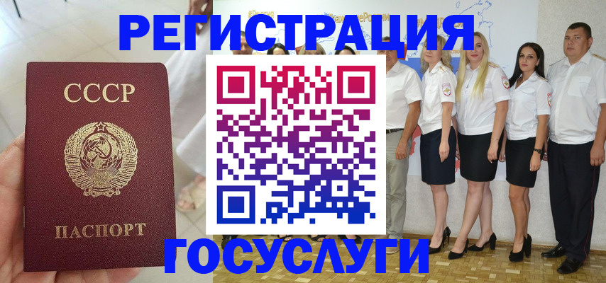 где прописаться в Камышине